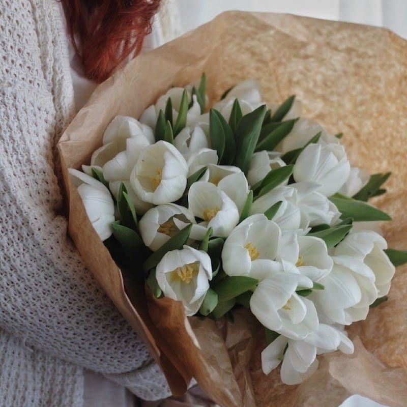 Tulips .. Toot Toot