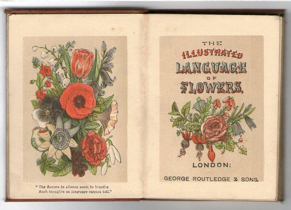 Say it with Flowers: The Secret Language of Floriography