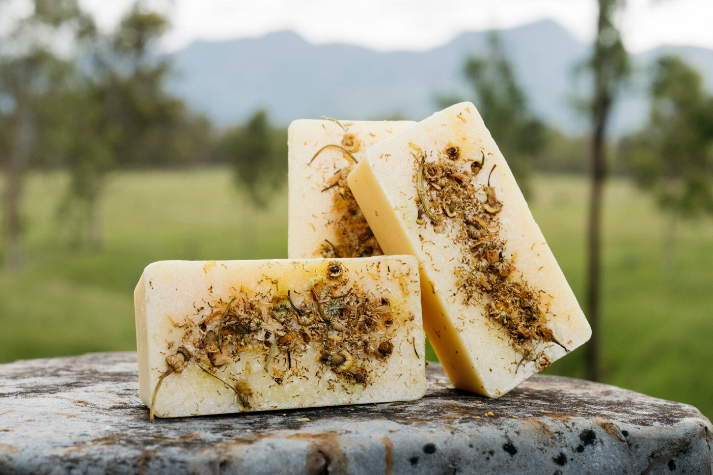 Coco & Myrtle Handmade Bath Products ( Support Rural Produce)